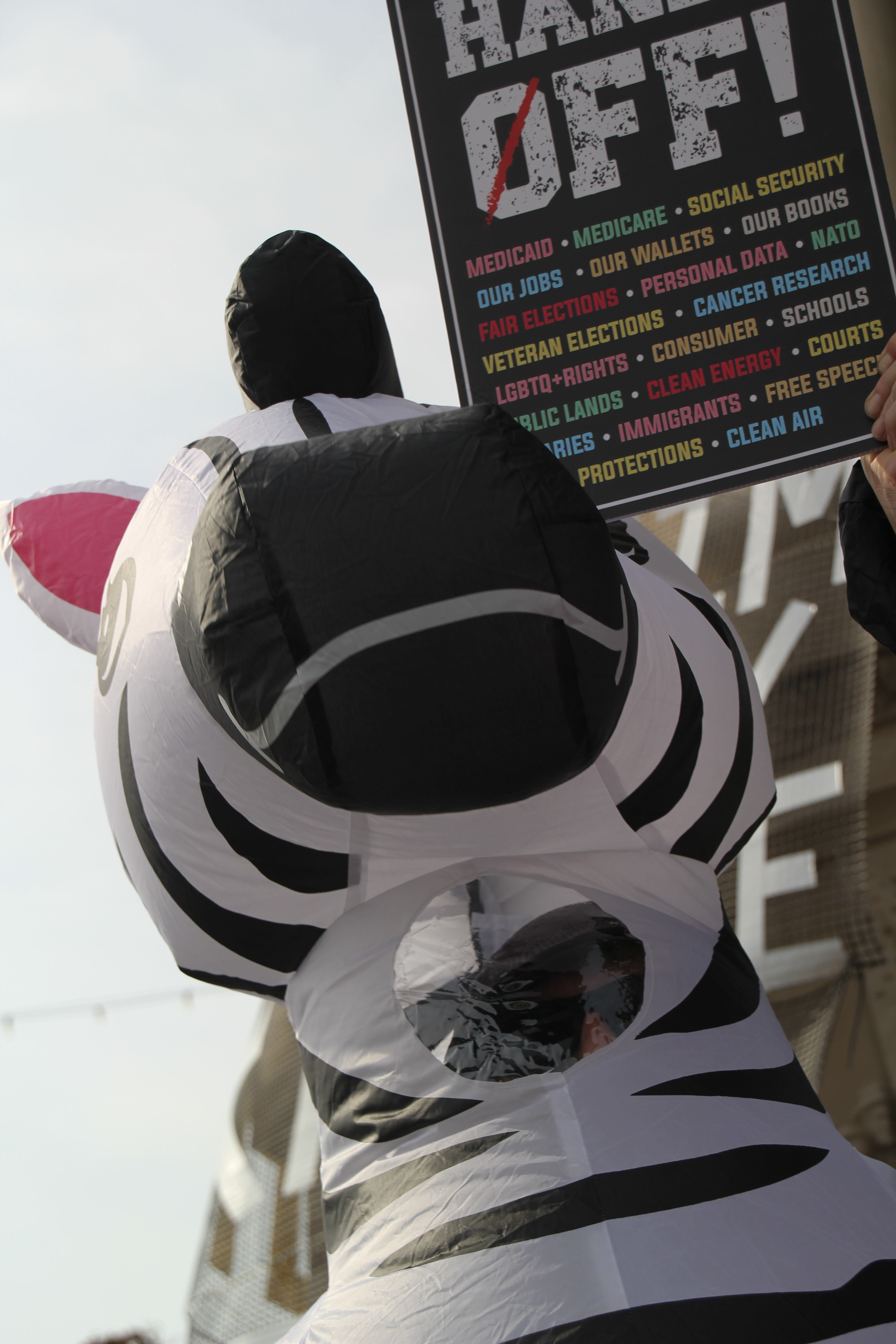 A man in an inflatable Zebra costume stands below a sign saying "HANDS OFF." The sign then lists: medicaid, medicare, social security, our jobs, our wallets, our books, fair elections, personal data, NATO, veteran elections, cancer research, LGBTQ+ rights, consumer, schools, public lands, clean energy, courts, [something cut off], immigrants, free speech, [cut off] protections, clean air.